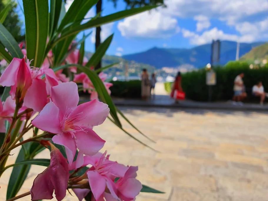 Plaza Deluxe Modern Center House - View Como Lake - Top Privacy Exterior foto